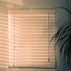 Protege tu casa del sol con nuestros productos